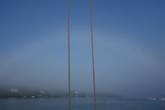DSC03625-fogbow