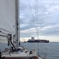 Boston Harbor sail